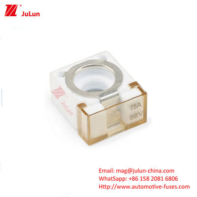 ตัวยึดฟิวส์ Rv Truck CFBAR1-250CS 1 เส้นท่อร่วม SBM-C