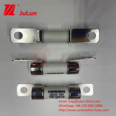 DC750V 10A-100A กล่อง EV Fuse สําหรับระบบการดึงของรถไฟฟ้า 25A 30A 50A EV FUSE