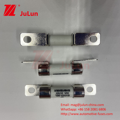 ISO8820 เครื่องประปาเซรามิกสําหรับรถยนต์ 30A 40A 50A 750VDC 10*38mm EV325