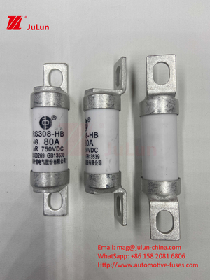 ฟิวส์รถไฟฟ้า EV สําหรับ DC750V ฟิวส์ DC750V 10A 15A 20A 25A 30A สําหรับการใช้งานรถยนต์ RS308