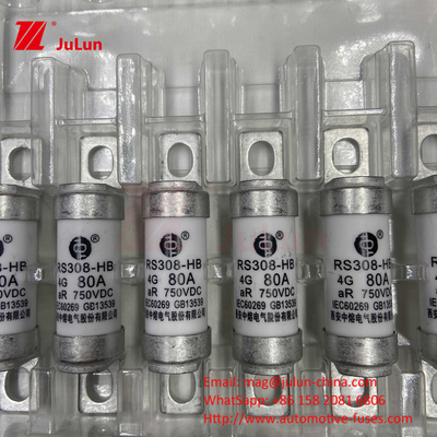 EV Fuse 100A ลักษณะ การสร้างแบบบอลท์ โดยเฉพาะ 750VDC 10A 25A 50A 63A