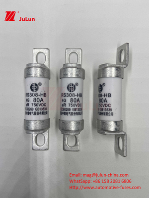 EV Fuse 100A ลักษณะ การสร้างแบบบอลท์ โดยเฉพาะ 750VDC 10A 25A 50A 63A