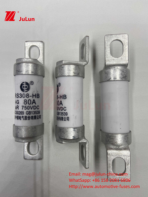 EV Fuse 100A ลักษณะ การสร้างแบบบอลท์ โดยเฉพาะ 750VDC 10A 25A 50A 63A