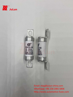 EV RS308 ฟิวส์ ช็อคเครื่องจักรกล 25A 30A 40A 50A เซรามิก ทองแดง วอลเตจเรตติ้ง DC750V บ้าน Ev ชาร์จสําหรับรถไฟฟ้า