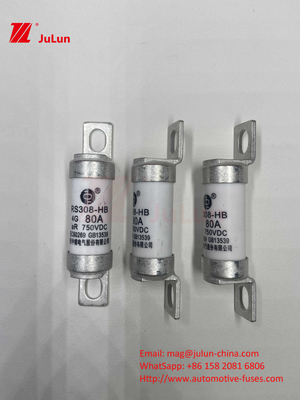 M6 EV Fuse With Bolted Ceramic EV Charger 750VDC Fuse ภาระเคมีและอุณหภูมิสูง 40A 50A RS308