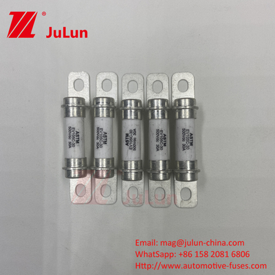 30A รถยนต์ไฮบริด 500VDC เฟยส์โบลท์ M6 DC อุปกรณ์และอุปกรณ์รถยนต์