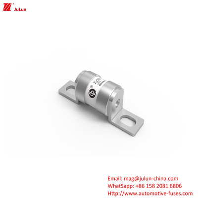 ฟิวส์ไฟฟ้าสําหรับรถพลังงานใหม่ 16A 20A 25A 32A 35A 40A 50A 63A 180A 250V 30KA โลโก้ OEM