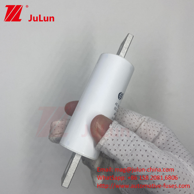 RS309-MM-EV250A 100KA เครื่องชาร์จเร็วรถไฟฟ้าความดันกลาง / Ev Dc Fast Charger