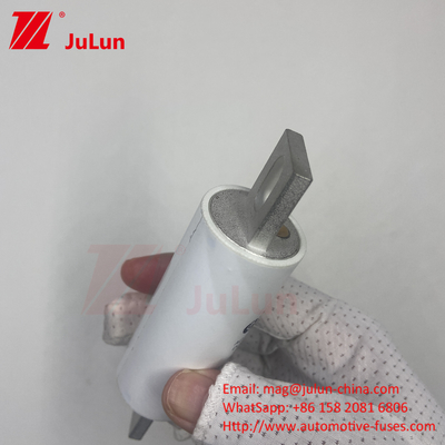 RS309-MM-EV500A1000VDC 50KA 1000VAC 100KA การป้องกันสกรูไฟฟิวส์