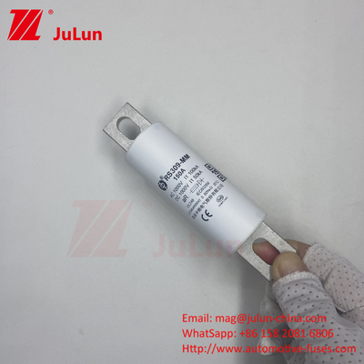 RS309-MM-EV500A1000VDC 50KA 1000VAC 100KA การป้องกันสกรูไฟฟิวส์