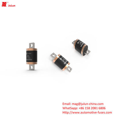 EV8 DC500V 150A 600A 700A 750A 800A 900A 1000A ฟิวส์สําหรับยานทางถนน