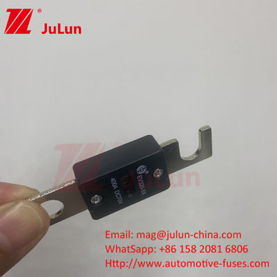 EV320-5X 80A 100A 125A 150A 175A 200A 70VDC EV Fuse สําหรับการป้องกันวงจรสั้นที่น่าเชื่อถือ