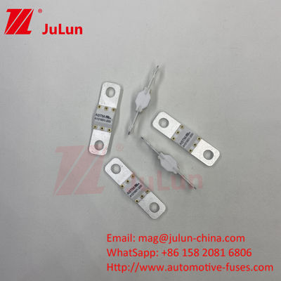 ASTM 100A Ev Charger Adapter Fuse รองรับ Ccs Ev Charger บอลท์สกรู 125VDC 10KA 20KA