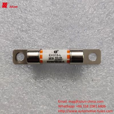 ฟิวส์ตัวปรับชาร์จ EV รองรับการชาร์จ 10A-60A ชาร์จรถไฟฟ้า ชาร์จเร็ว