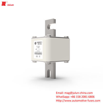315A DC250V พกพา EV Charger Fuse การแก้ไขที่สุดยอดสําหรับเจ้าของ EV