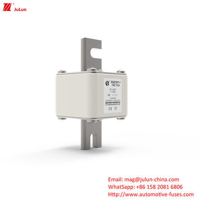 315A DC250V พกพา EV Charger Fuse การแก้ไขที่สุดยอดสําหรับเจ้าของ EV