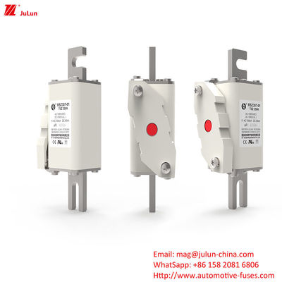 160A-550A ฟิวส์ป้องกันระยะทางบางส่วนด้วยโบลท์บนการออกแบบ การใช้งานในอุตสาหกรรมเก็บพลังงาน