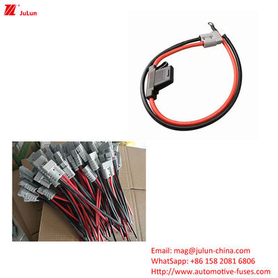 EU UL มาตรฐานรถไฟฟ้า Fuse Holder ปัจจุบัน 30A-100A พลาสติก / ไนลอน Housing