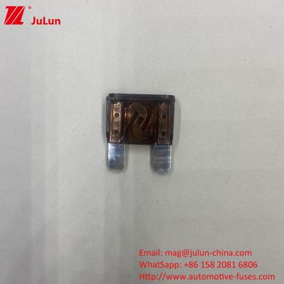 เครื่องยนต์ ATM เครื่องยนต์ Blade Fuses 30A 32V