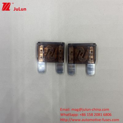 MAXT Blade Fuse 40A ระดับการรักษาความมั่นคง PA66 ทองแดง เครื่องตัดวงจรรถ