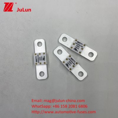 ฟิวส์แบตเตอรี่รถยนต์ 100 A 125V DC ให้การคุ้มกันที่น่าเชื่อถือและมีประสิทธิภาพ