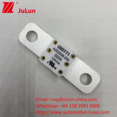125VDC 200A ANM AMM AEGA ANL CNN CNL ฟิวส์แบตเตอรี่รถยนต์ สําหรับรถยนต์