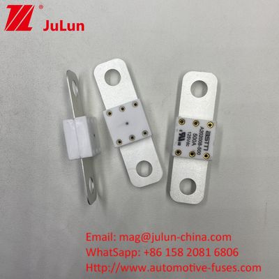โปรเฟชั่น A202008 300A 125VDC เครื่องชาร์จแบตเตอรี่รถยนต์ภาระหนัก ฟิวส์ 100A 150A 200A 250A 300A 350A 400A 500A 20KA ความจุในการทําลาย