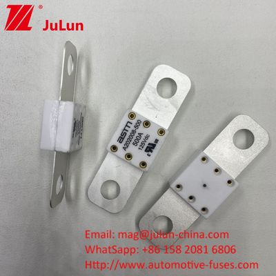 โปรเฟชั่น A202008 300A 125VDC เครื่องชาร์จแบตเตอรี่รถยนต์ภาระหนัก ฟิวส์ 100A 150A 200A 250A 300A 350A 400A 500A 20KA ความจุในการทําลาย