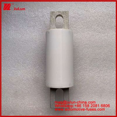 รถยนต์ทางถนน หลอดเซรามิกฟิวส์ RS309-MF 200A 750VDC UL ความสามารถในการทําลายสูง