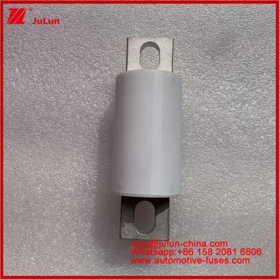 500A 400A RS309-MF EVE 750VDC ((UL) รถยนต์ทางยนต์ท่อเซรามิกเก็บพลังงาน ระบบพลังงาน ชาร์จสาย อุปกรณ์และอุปกรณ์รถยนต์ 20KA
