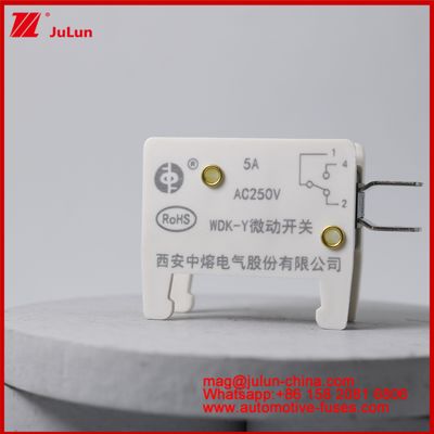 WDK-Y 5A 250V Micro Switch Automobile Mount Fuse สําหรับรถยนต์ EV / HEV พื้นฐานไฟฟิวส์ที่ออกแบบพิเศษสําหรับสถานการณ์รถยนต์