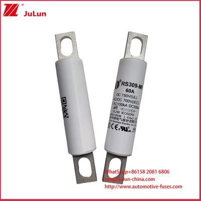 RS309-MF 60A DC750C รถกระบะหนัก รถชาร์จไฟฟ้า รถบัสไฟฟ้า รถกระบะเบาไฟฟ้า และไฟฟิวส์ไฟฟ้า