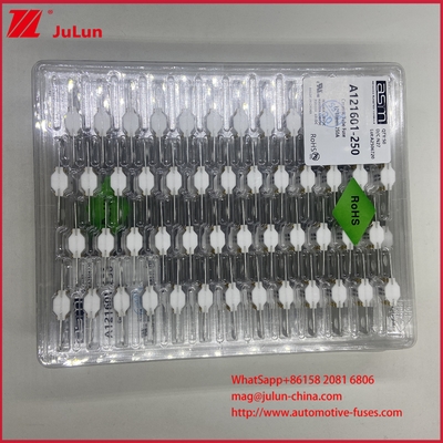 ASTM A121601-250A แบตเตอรี่ไฟฟิวส์ EV 125VDC