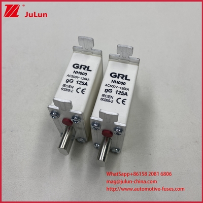 225A 160A 125A NT000/NH000 ฟิวส์ลิงก์ 125A/ตัวยึด ฟิวส์ใบมีด ฟิวส์เซรามิก ฐานฟิวส์พอร์ซเลน