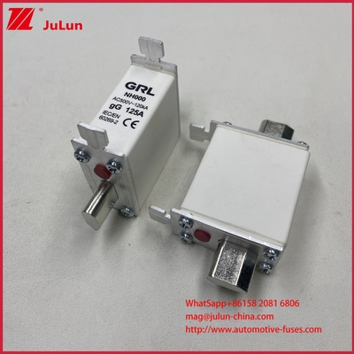 225A 160A 125A NT000/NH000 ฟิวส์ลิงก์ 125A/ตัวยึด ฟิวส์ใบมีด ฟิวส์เซรามิก ฐานฟิวส์พอร์ซเลน