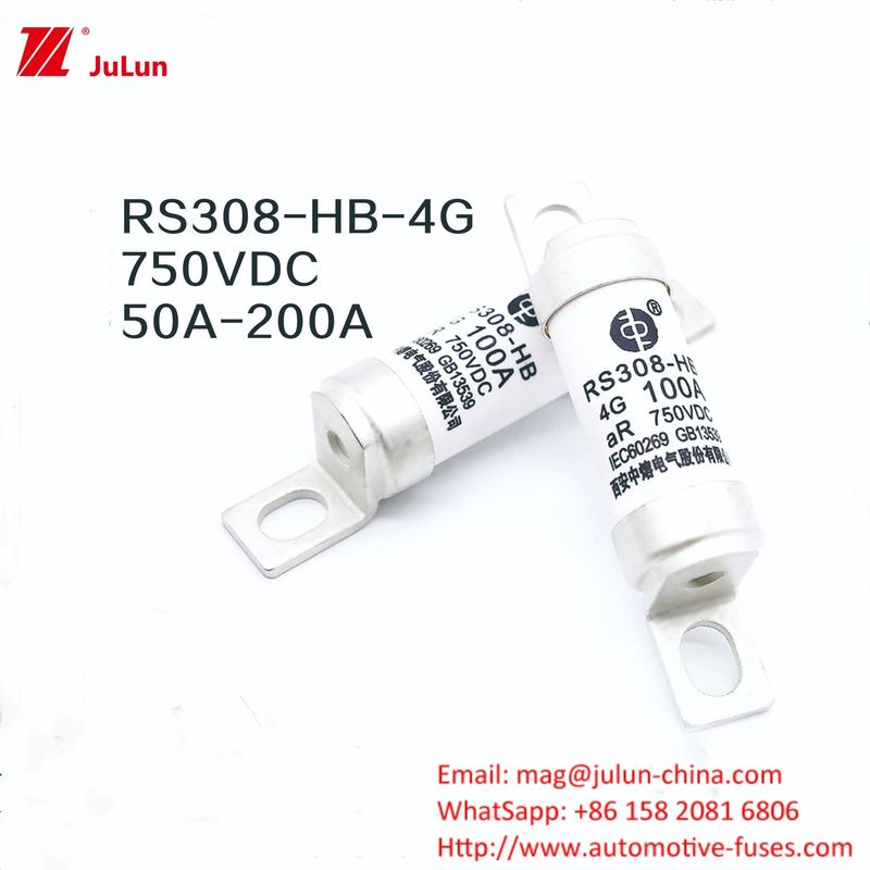 Ev Charger Adapter RS308-HB4G ซีรีส์ 32A 63A 100A มินิฟิวส์สําหรับรถยนต์