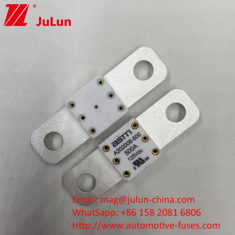 โปรเฟชั่น A202008 300A 125VDC เครื่องชาร์จแบตเตอรี่รถยนต์ภาระหนัก ฟิวส์ 100A 150A 200A 250A 300A 350A 400A 500A 20KA ความจุในการทําลาย
