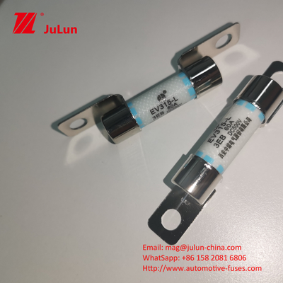 การป้องกันวงจรสั้น เครื่องยนต์ไฟฟ้า ฟิวส์ 40A ด้วยความสามารถในการทําลาย 3KA รถยนต์