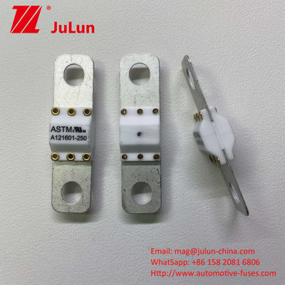 100A เครื่องชาร์จ EV พกพา ป้องกันไฟ ป้องกันการตัดสั้น