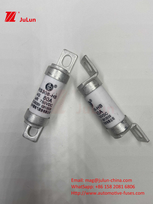 ฟิวส์ EV เซรามิก 750VDC สําหรับการชาร์จรถยนต์ที่ปลอดภัย 63A25A 15A 30A 750VDC RS308 FUSE