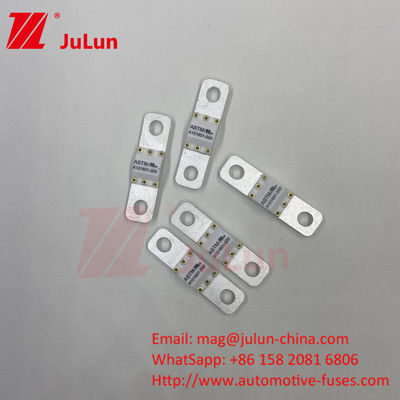 ASTM FUSE 121601 80A 125VDC ฟิวส์รถไฟฟ้า