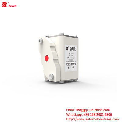 315A AC1000V พกพา EV ชาร์เจอร์ ฟิวส์รถยนต์ที่มีความสามารถในการทําลายสูง
