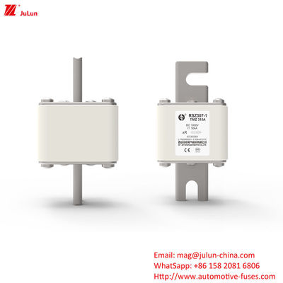 RSZ307-1-TMZ เครื่องปรับชาร์จรถไฟฟ้า DC พร้อมพวงมาลัยบนไฟฟิวส์ การใช้งานในอุตสาหกรรมเก็บพลังงาน