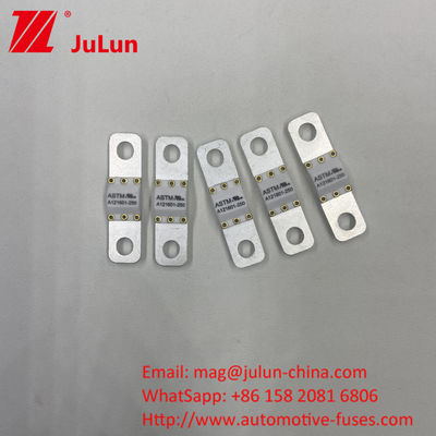 125 VDC เครื่องชาร์จแบตเตอรี่รถยนต์ ฟิวส์ A121601-300A แบตเตอรี่พลังงานเก็บ รถจักรยานยนต์