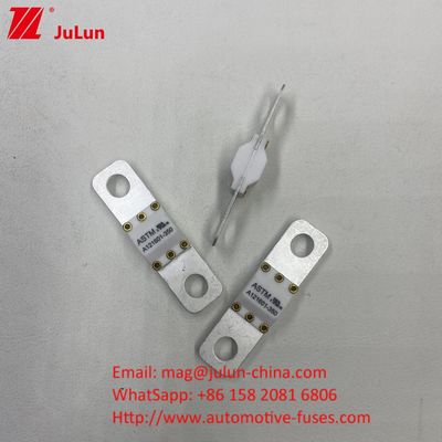 300A 125VDC ความสามารถในการทําลายสูง เซรามิครถยนต์ Fuses สําหรับการแปลงพลังงาน